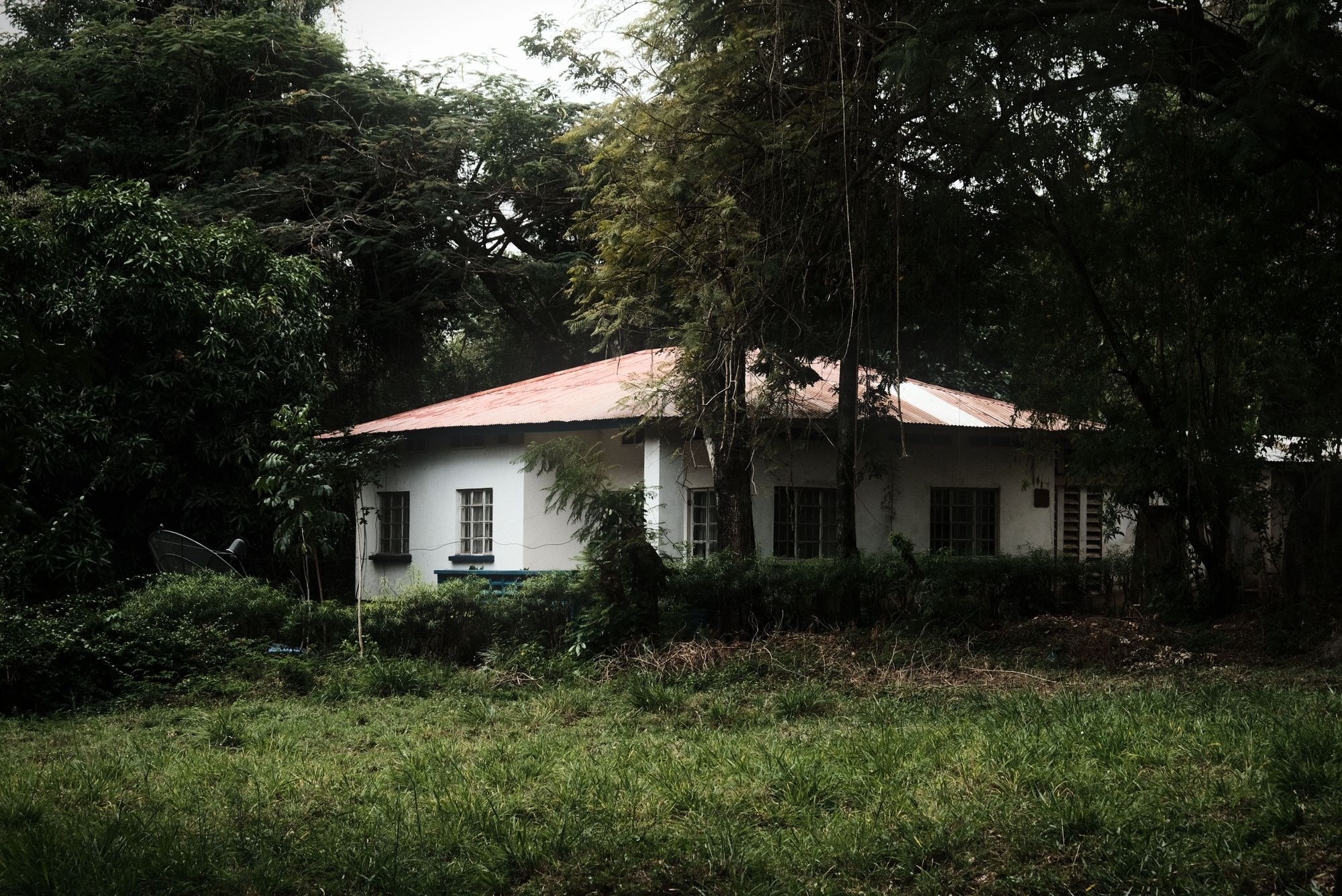 Une maison au toit rouge entourée d'arbres et d'herbe haute.
