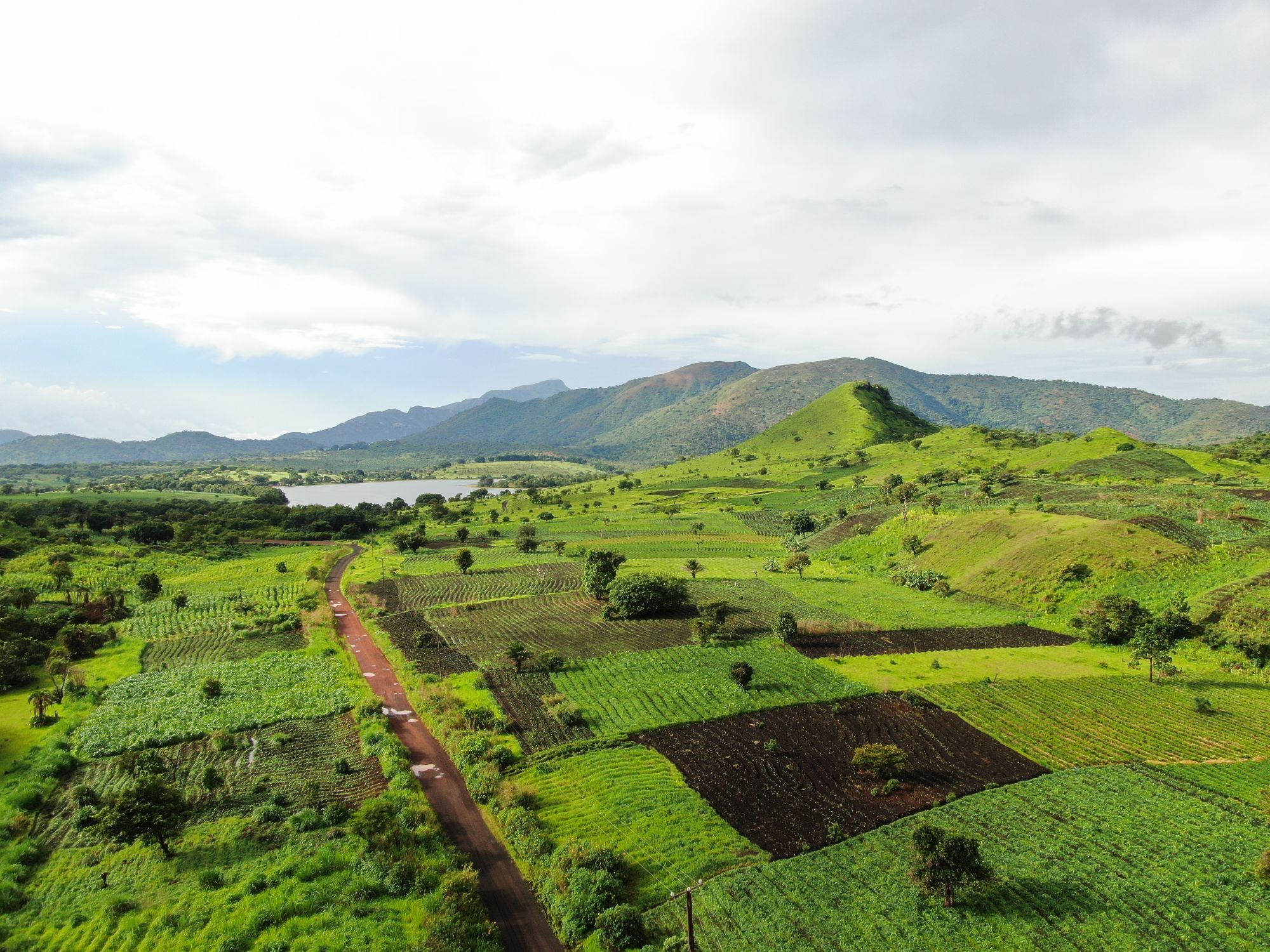 Vue aérienne de parcelles cultivées et de collines vertes à Foumbot, au Cameroun.